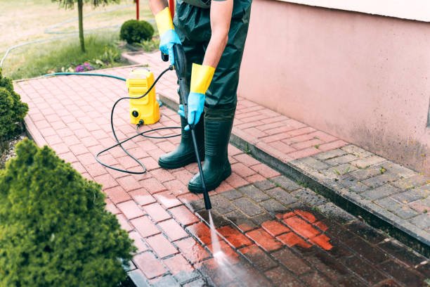 Best Spring Cleaning  in Oblong, IL